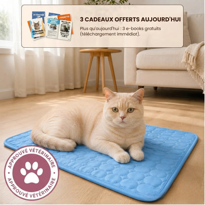 Tapis rafraîchissant Florelya™ (2 pour 1)