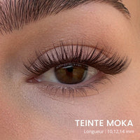 Teinte Moka