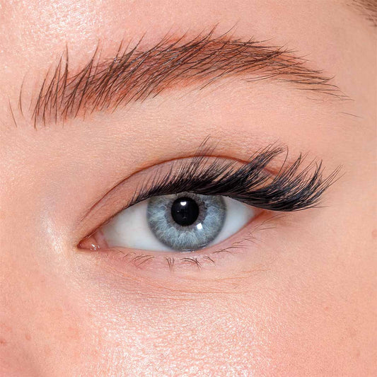 CatLash - Starter Kit Press&GO!