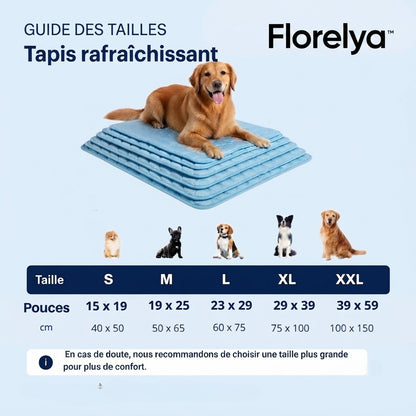 Tapis rafraîchissant pour chien Florelya™