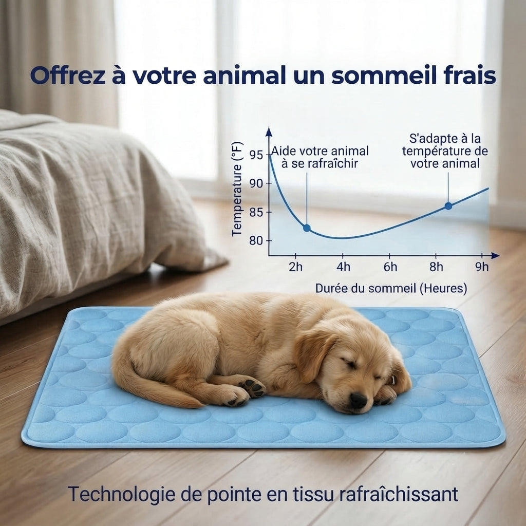 Tapis rafraîchissant pour chien Florelya™
