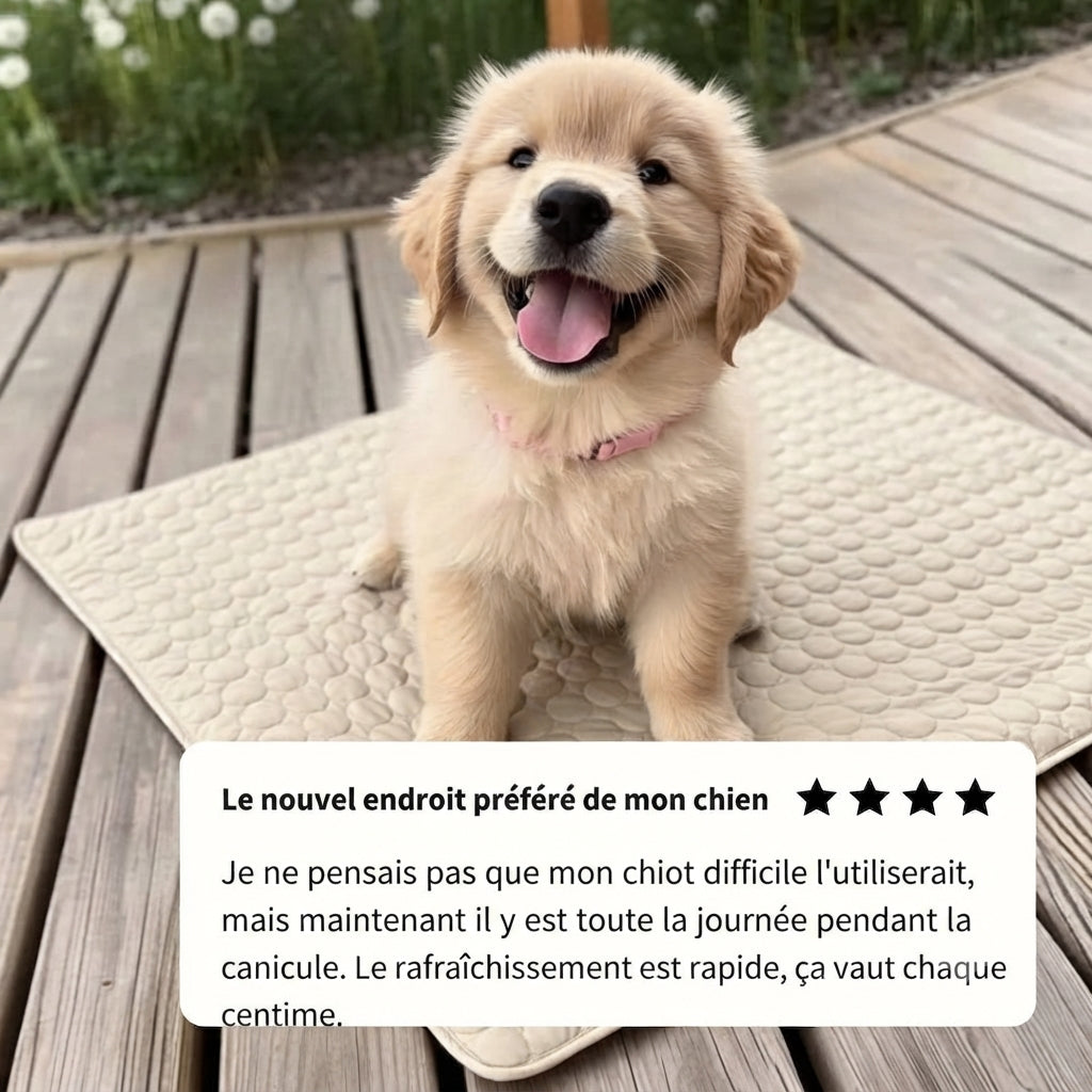 Tapis rafraîchissant pour chien Florelya™