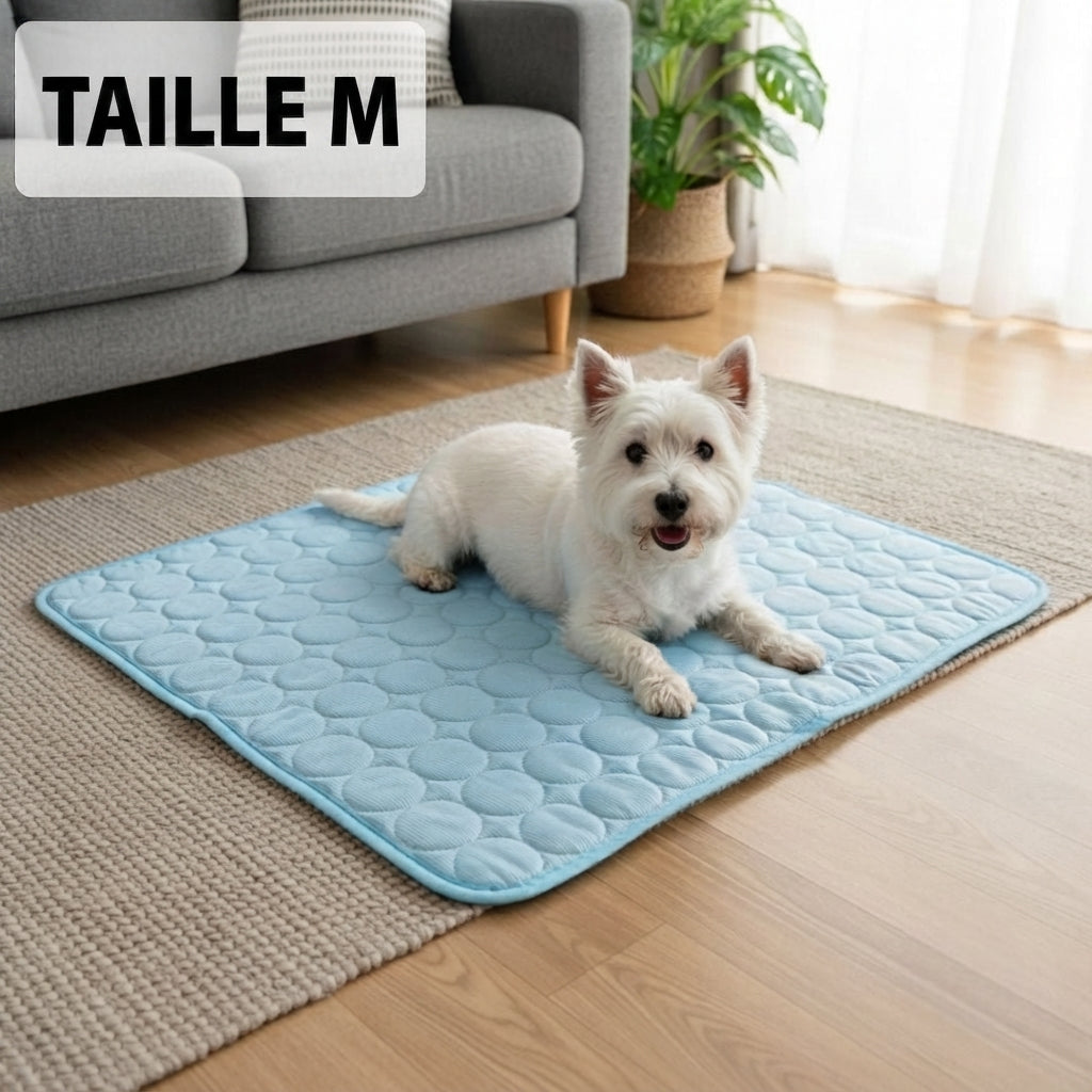Tapis rafraîchissant pour chien Florelya™