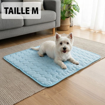 Tapis rafraîchissant pour chien Florelya™