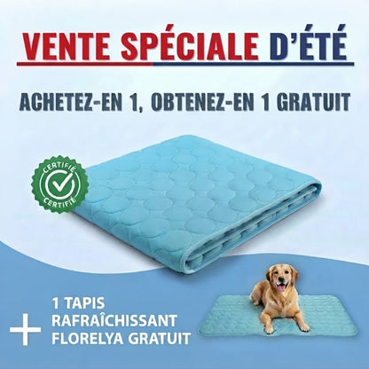 Tapis rafraîchissant pour chien Florelya™