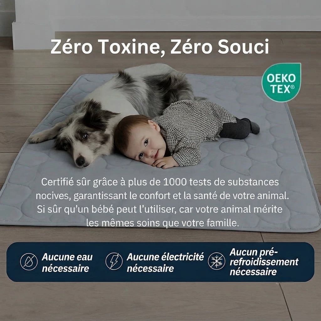 Tapis rafraîchissant pour chien Florelya™