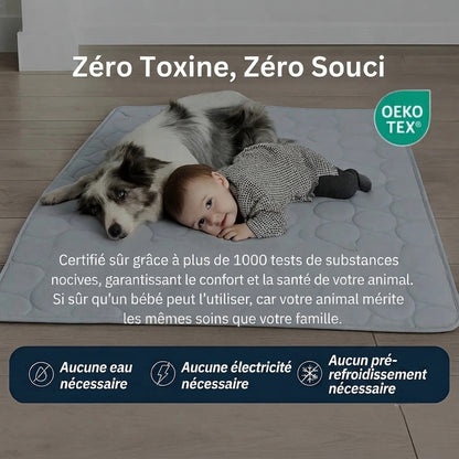 Tapis rafraîchissant pour chien Florelya™