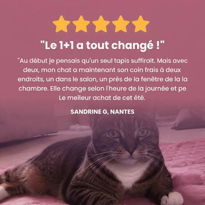 Tapis rafraîchissant Florelya™ (2 pour 1)