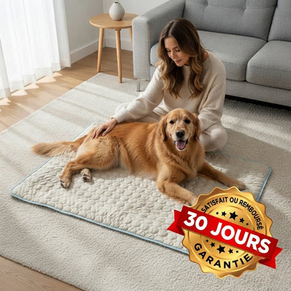 Tapis rafraîchissant pour chien Florelya™