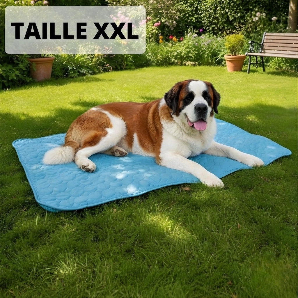 Tapis rafraîchissant pour chien Florelya™