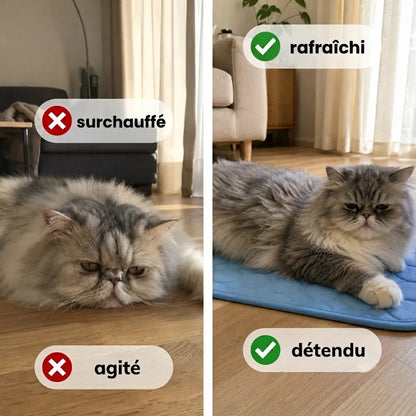 Tapis rafraîchissant Florelya™ (2 pour 1)