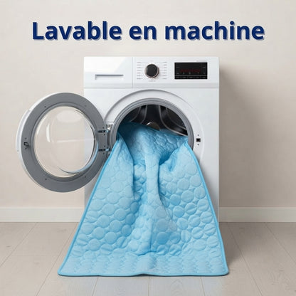 Tapis rafraîchissant pour chien Florelya™