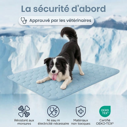 Tapis rafraîchissant pour chien Florelya™