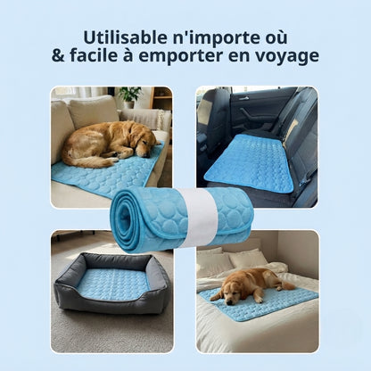 Tapis rafraîchissant pour chien Florelya™