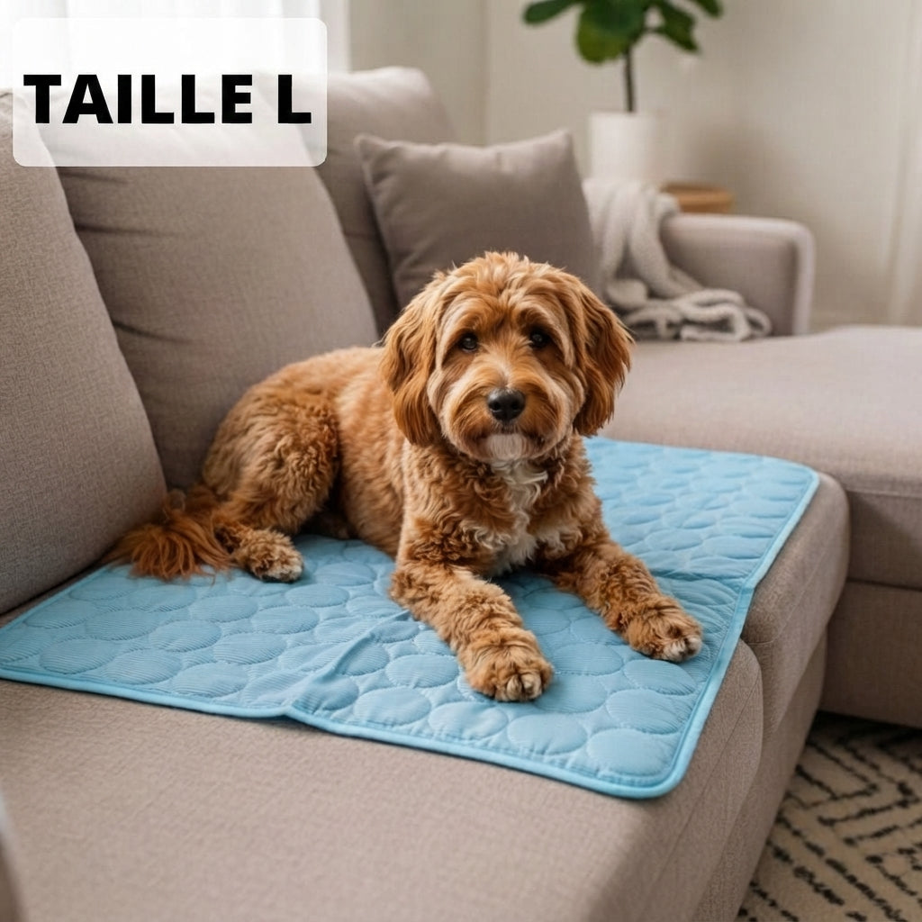 Tapis rafraîchissant pour chien Florelya™