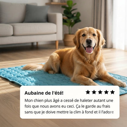 Tapis rafraîchissant pour chien Florelya™