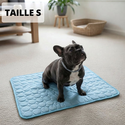 Tapis rafraîchissant pour chien Florelya™