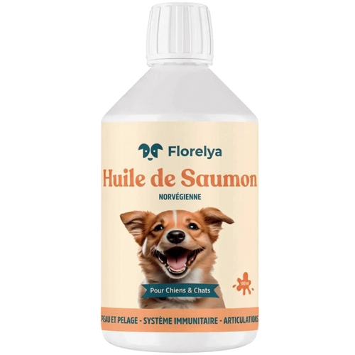 Huile de saumon pour Chien