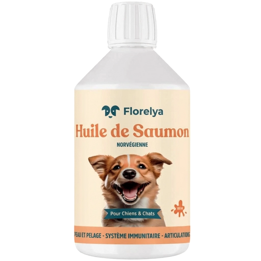 Huile de saumon pour Chien