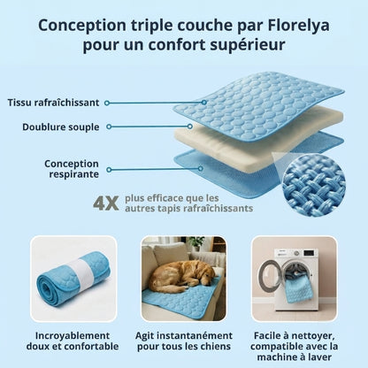Tapis rafraîchissant pour chien Florelya™