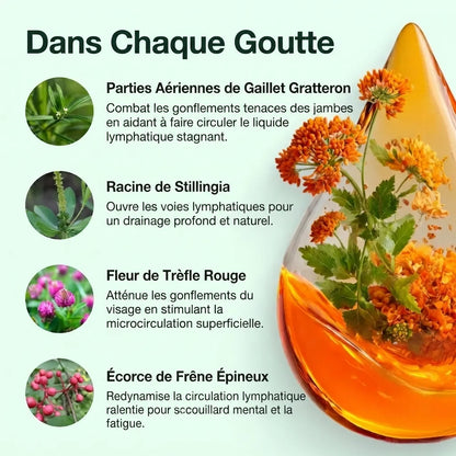 Drainage Lymphatique Florelya - Gouttes Naturelles