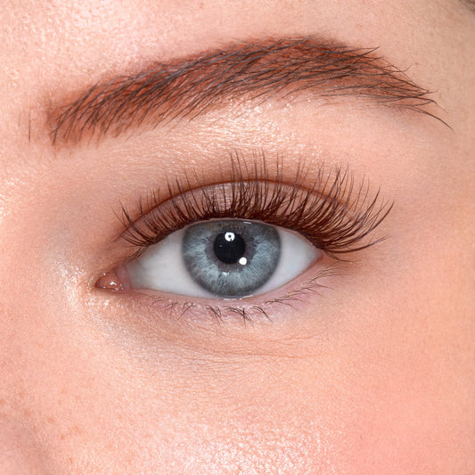 Chocolate Brown – Starter Kit Press&GO!