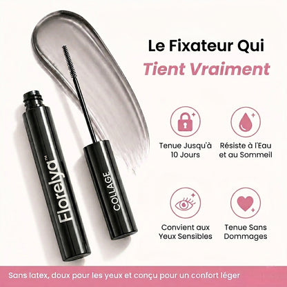 Kit de Démarrage Favori