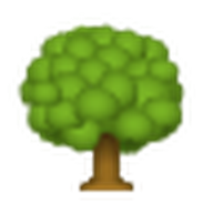 1 arbre planté pour chaque commande