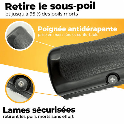 Brosse Florelya — Anti-Poils