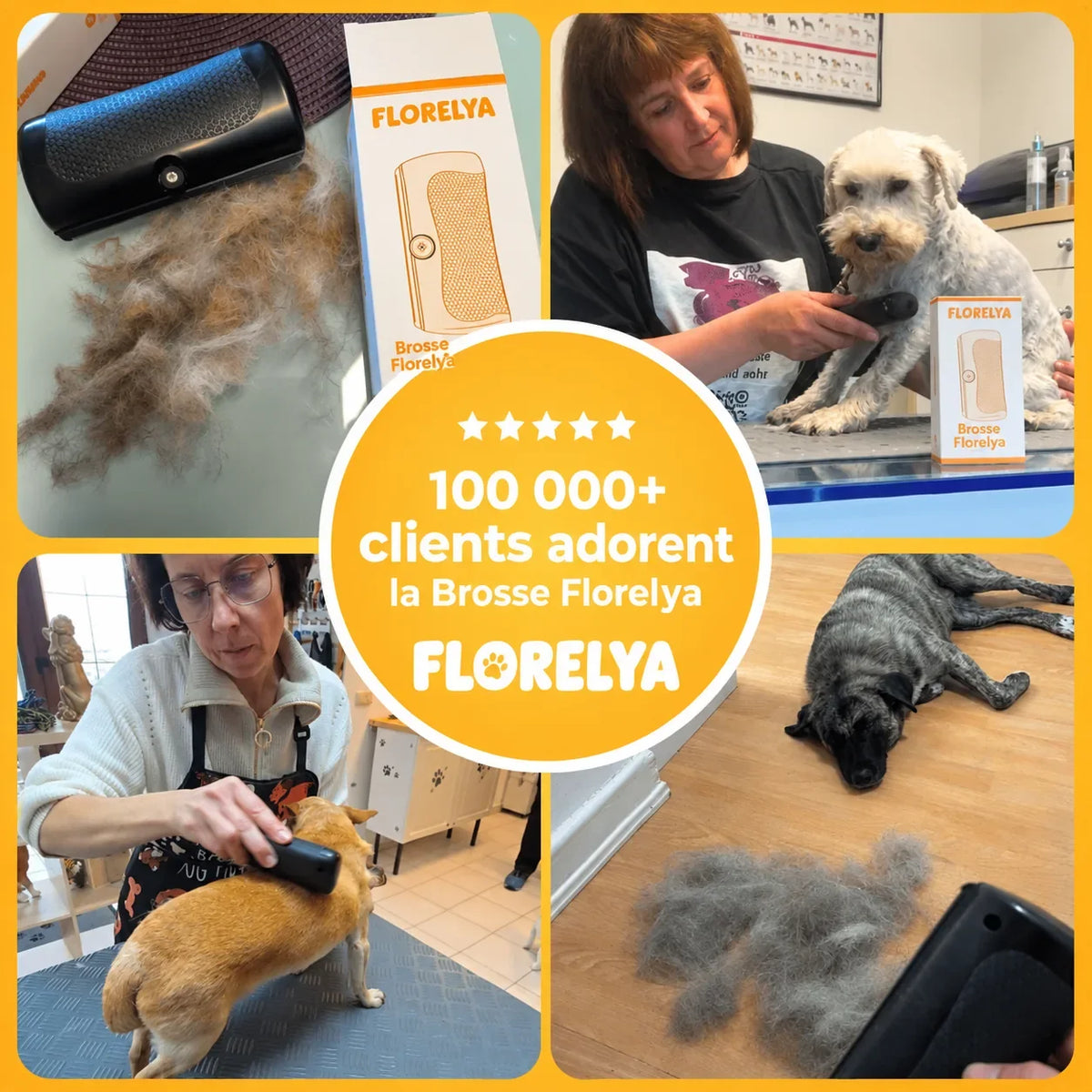 Brosse Florelya — Anti-Poils