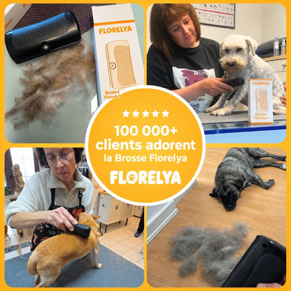 Brosse Florelya — Anti-Poils