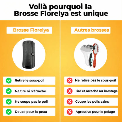 Brosse Florelya — Anti-Poils