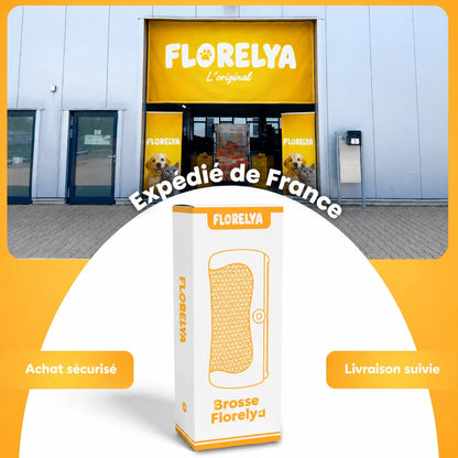 Brosse Florelya — Anti-Poils
