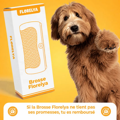 Brosse Florelya — Anti-Poils