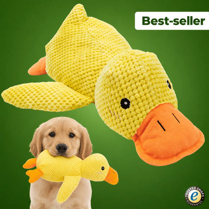 Canard Anti-Stress Florelya, le best-seller