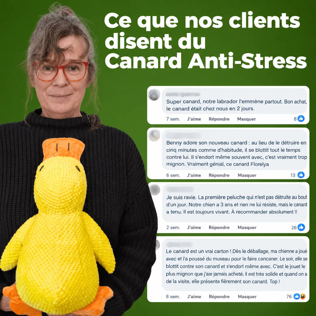 Ce que nos clients disent du Canard Anti-Stress