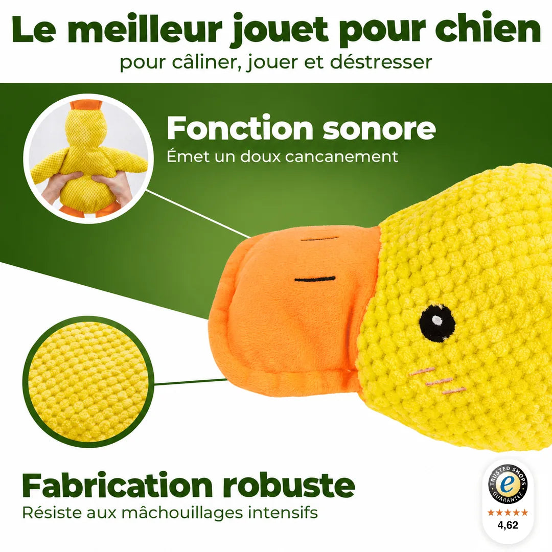Le meilleur jouet pour chien
