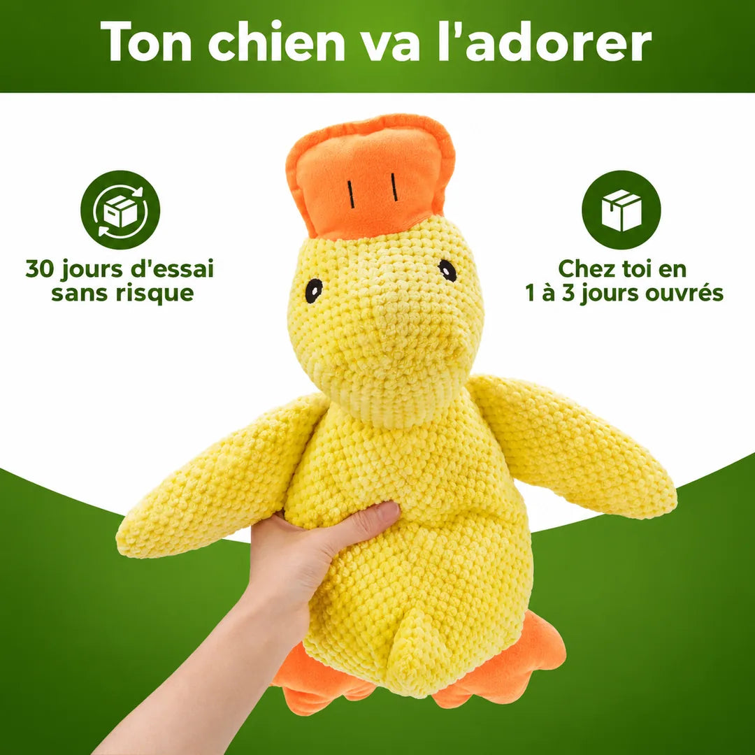 Ton chien va l'adorer