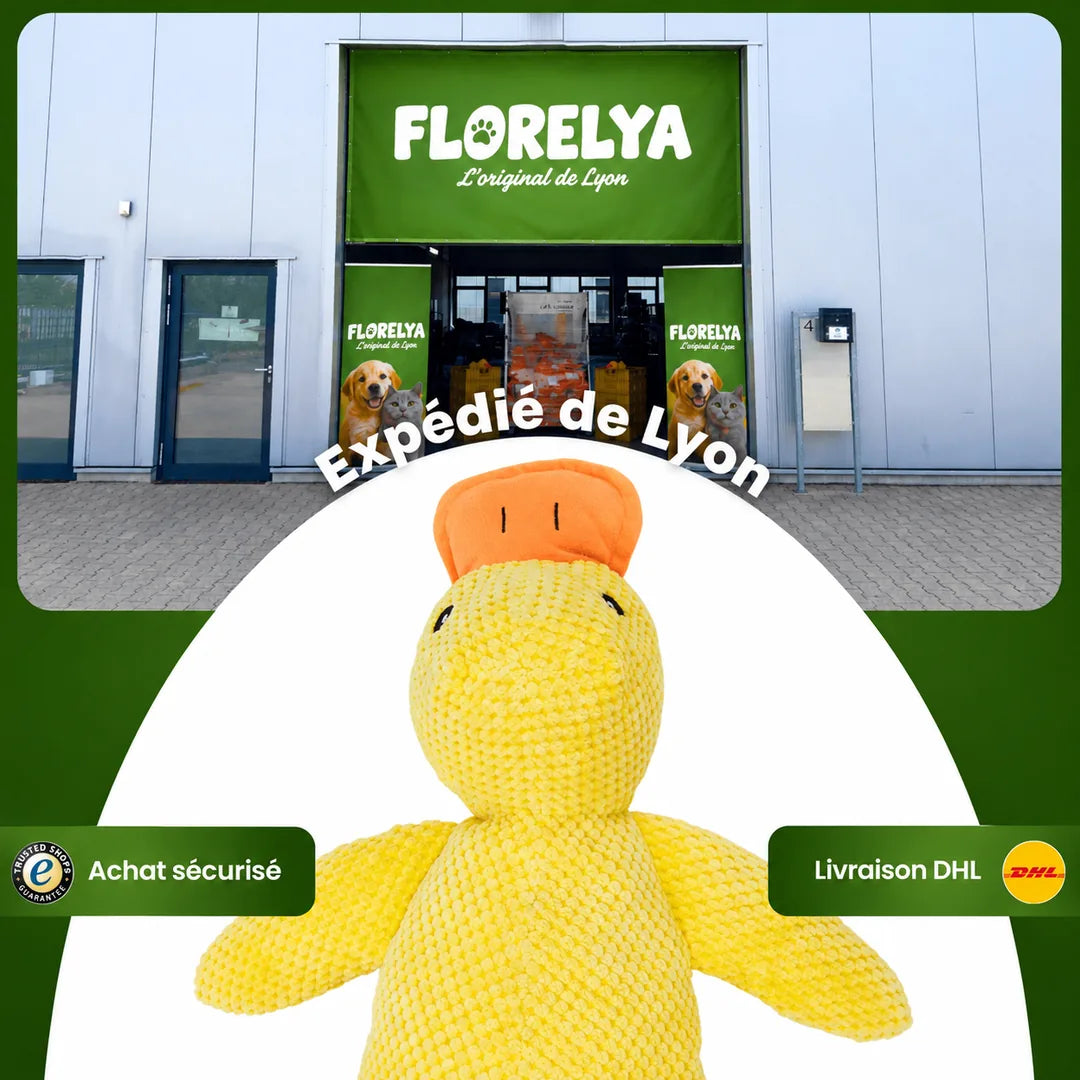 Expédié de Lyon