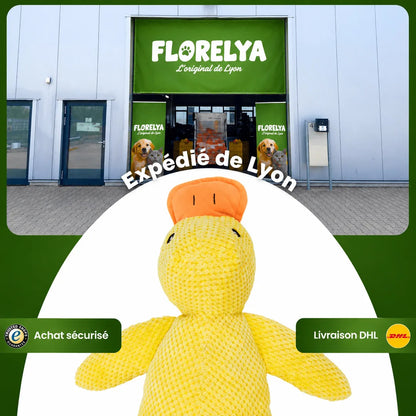 Expédié de Lyon