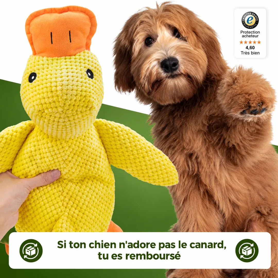 Si ton chien n'adore pas le canard, tu es remboursé