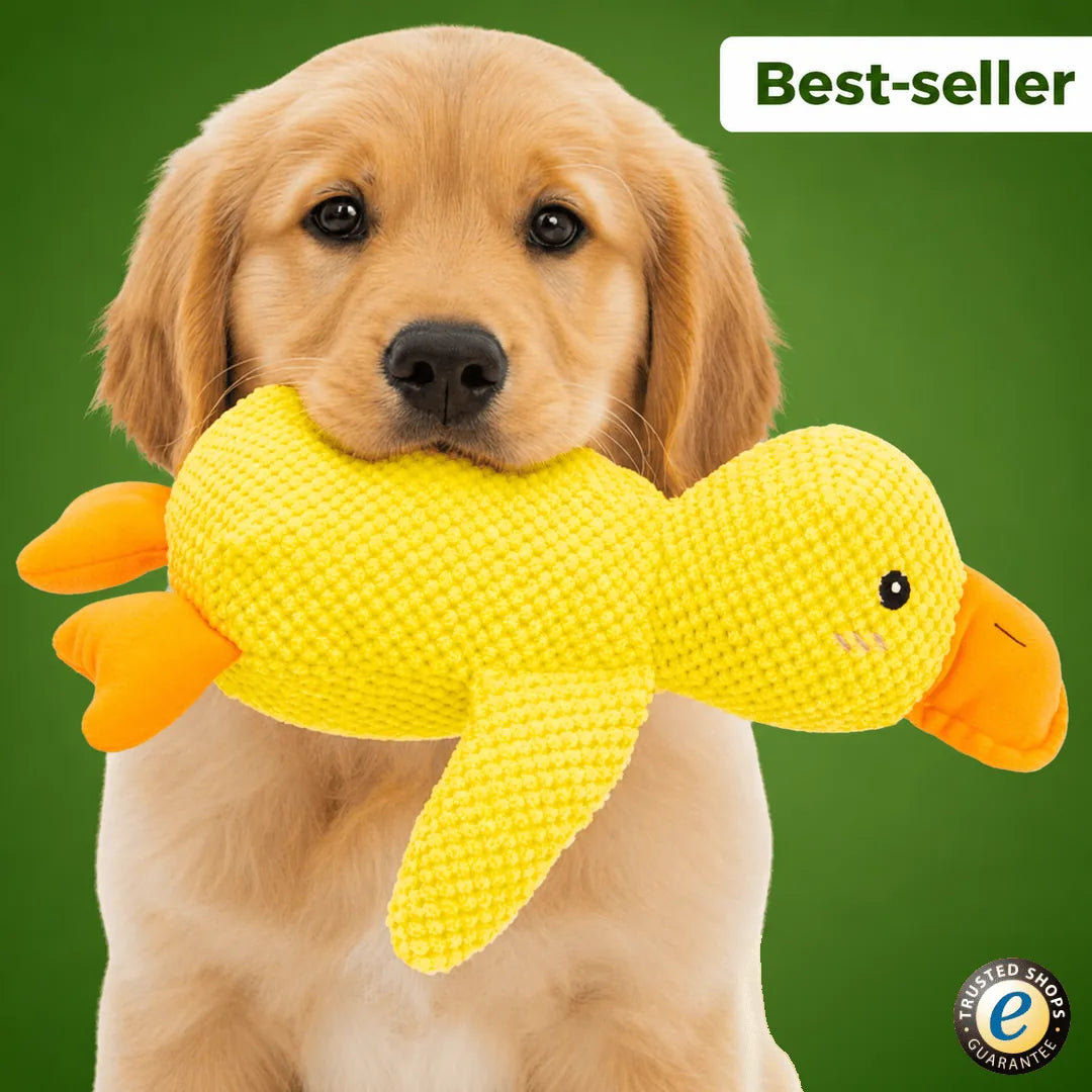 Canard Anti-Stress Florelya