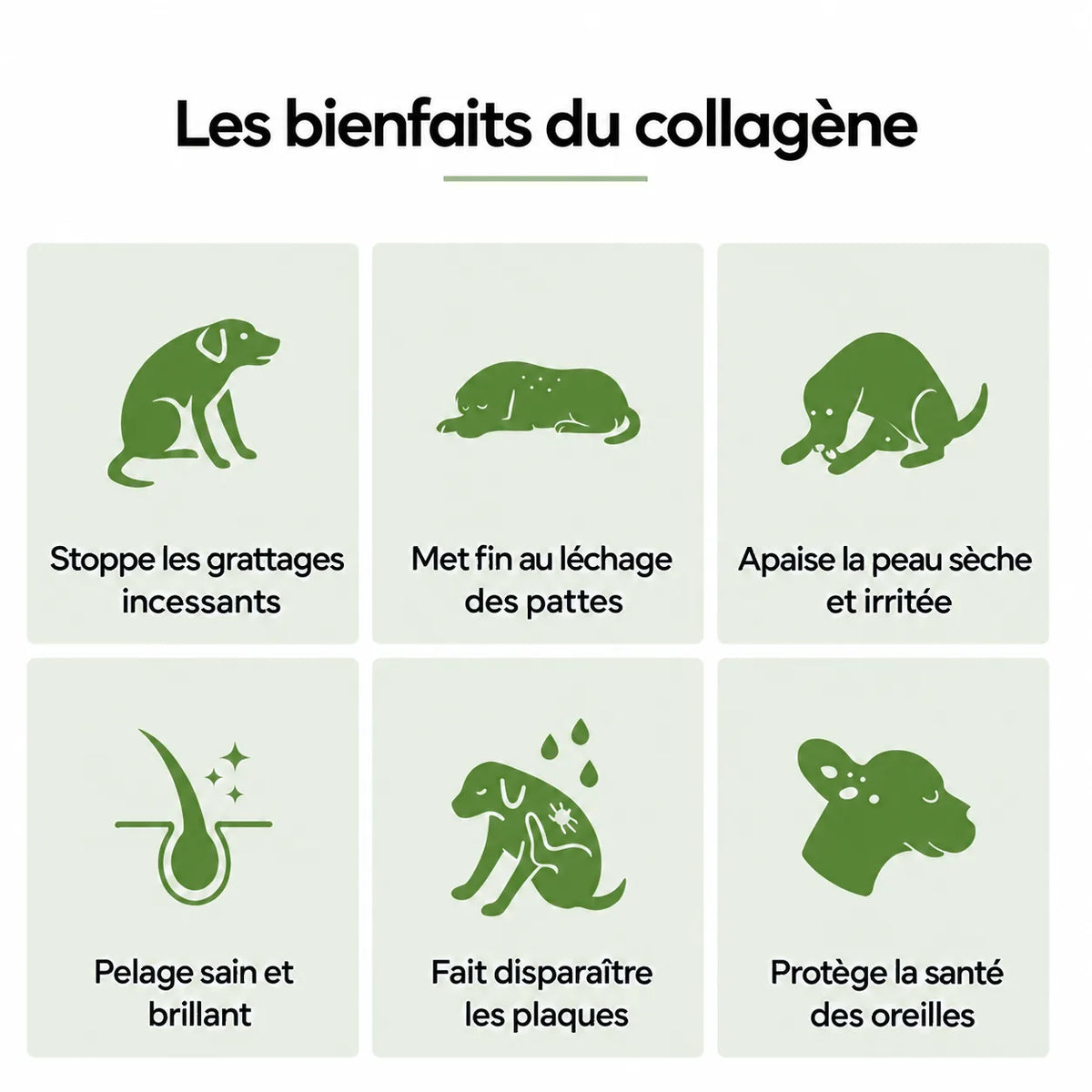 Collagène Liquide Premium Florelya