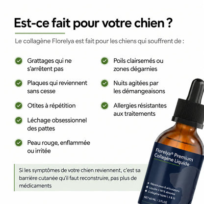 Collagène Liquide Premium Florelya
