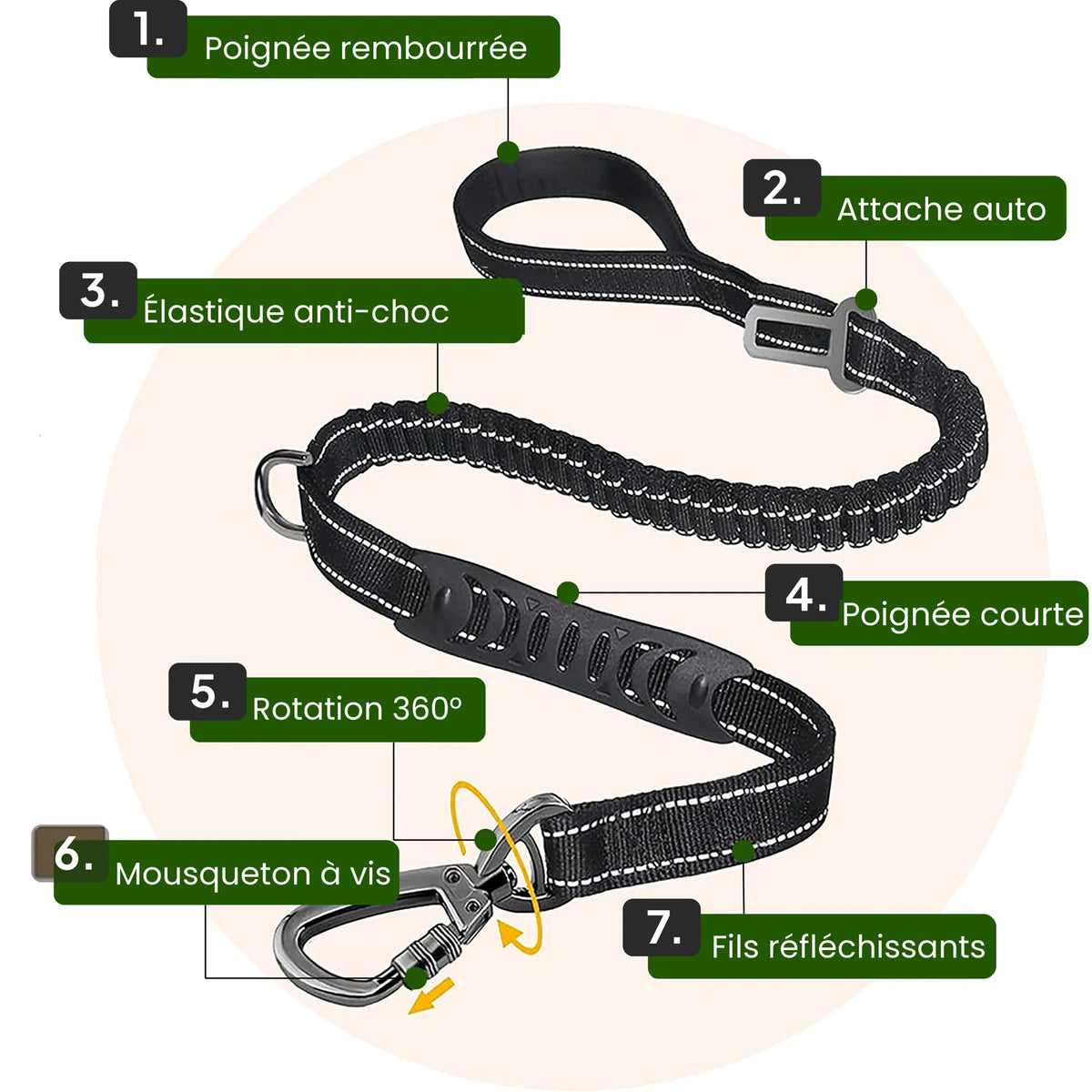 Les 7 atouts de la laisse anti-traction