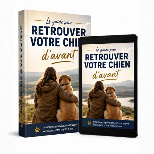Ebook offert : Le guide pour retrouver votre chien d’avant