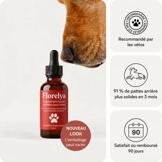 Gouttes NAD+ Florelya pour chien senior, flacon de 60 ml