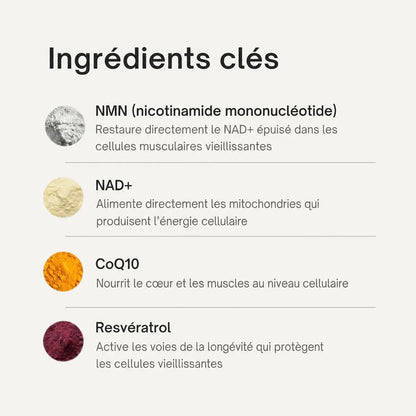 Ingrédients clés des Gouttes NAD+ Florelya