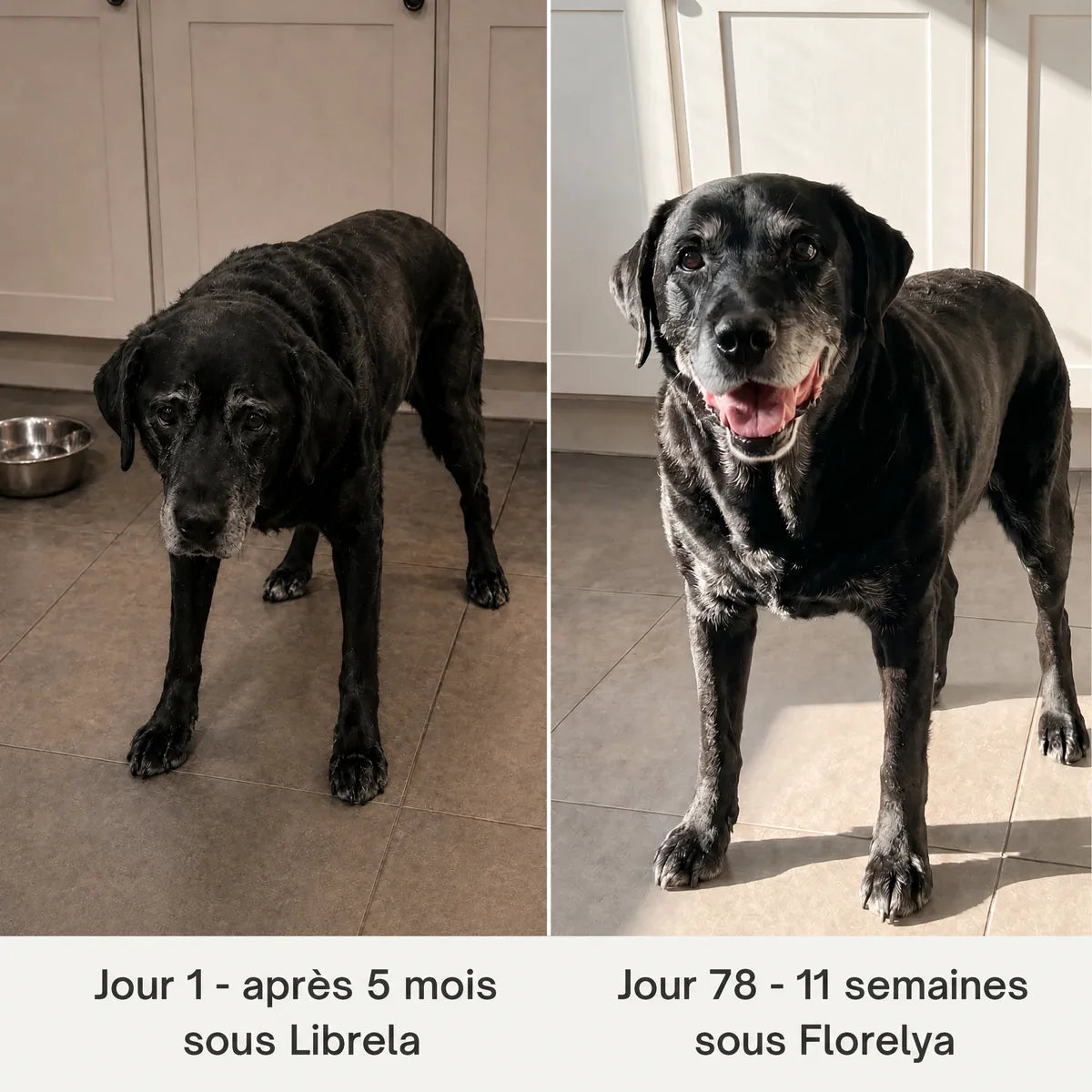Avant / après : Jour 1 et Jour 78