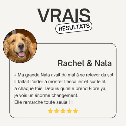 Vrais résultats : Rachel & Nala